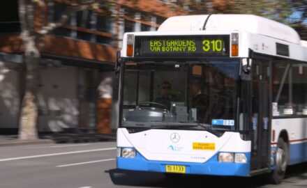 Öffentlicher Bus in New South Wales, Australien