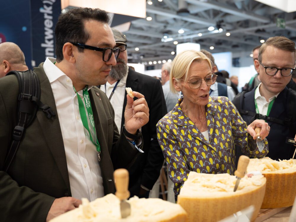 Cheese-Tasting