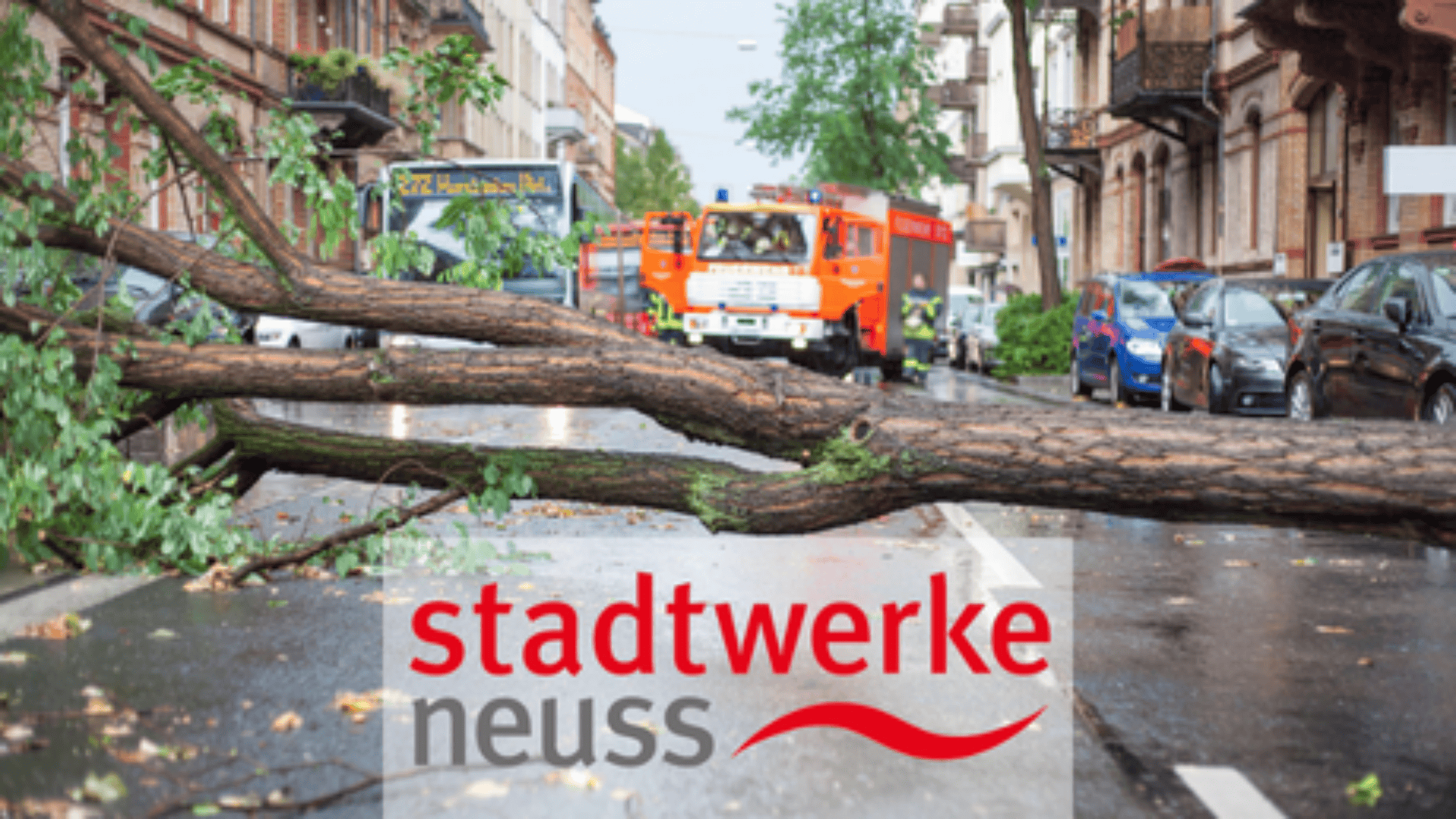 Umgestürzter Baum nach einem Unwetter auf einer Straße, Logo Stadtwerke Neuss